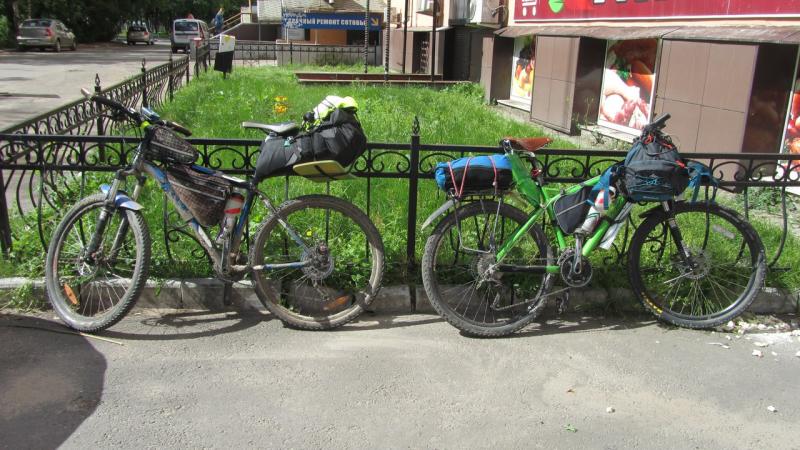 Александра Аверина. Прогулки по московской области